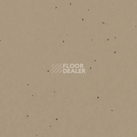 Линолеум Forbo Sphera Energetic 50209 nutmeg фото 1 | FLOORDEALER